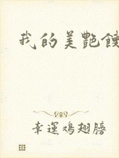 我的美艳馊子