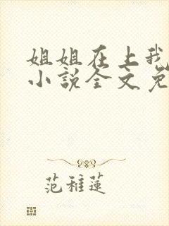 姐姐在上我在下小说全文免费阅读