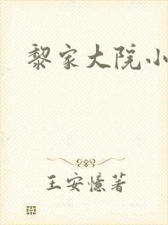黎家大院小说