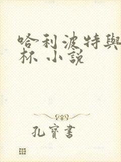 哈利波特与火焰杯 小说