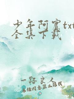 少年阿宾txt全集下载
