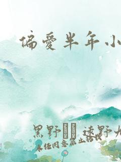 偏爱半年小说