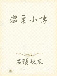 温柔小传