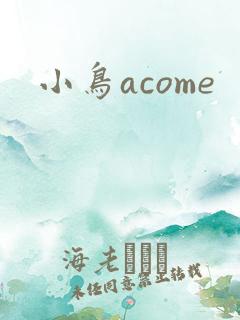 小鸟acome