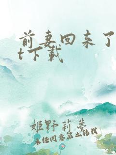 前妻回来了txt下载