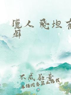 猎人 飞坦有洁癖