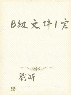 B级文件1完整
