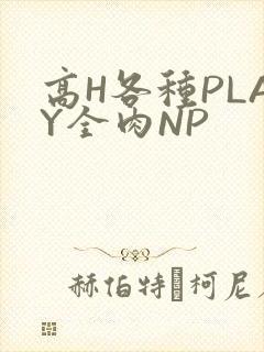 高H各种PLAY全肉NP