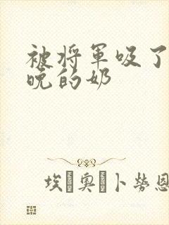 被将军吸了一整晚的奶