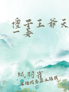 傻子王爷天下第一妾