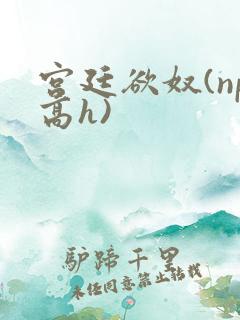 宫廷欲奴(np高h)