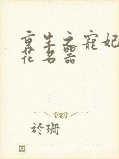 重生之宠妃白莲花名器