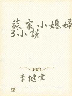 苏家小媳妇1V3小说