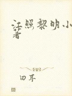 江照黎明小说原著