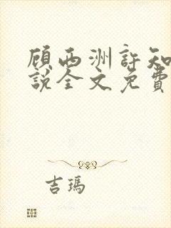 顾西洲许知意小说全文免费阅读