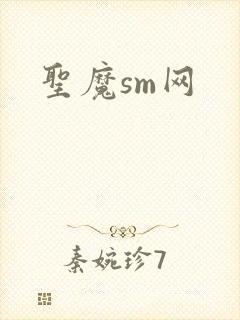 圣魔sm网