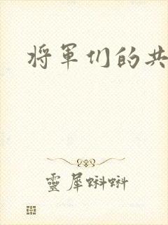 将军们的共妻H