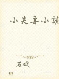 小夫妻小说