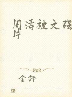 周涛被文强睡图片