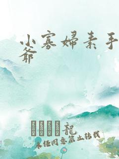 小寡妇素手擒四爷