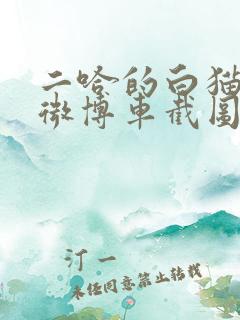 二哈的白猫师尊微博车截图