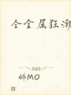 全金属狂潮小说