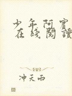 少 年 阿 宾 在 线 阅 读