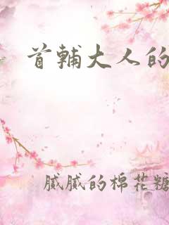 首辅大人的套路