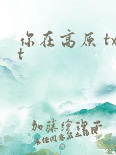 你在高原 txt