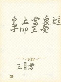 皇上当众进入太子np主受