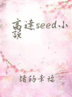 高达seed小说