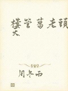 楼管葛老头的春天