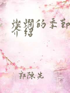 灿烂的季节剧情介绍