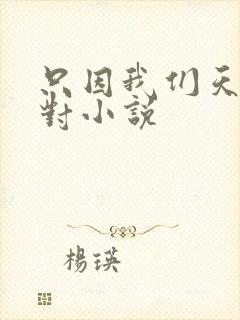 只因我们天生一对小说