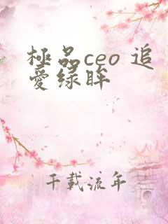 极品ceo 追爱绿眸