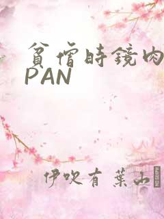 贫僧时镜肉补全PAN