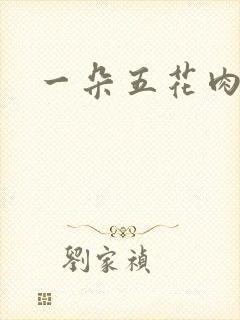 一朵五花肉