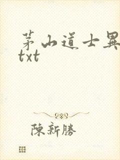 茅山道士异界游txt