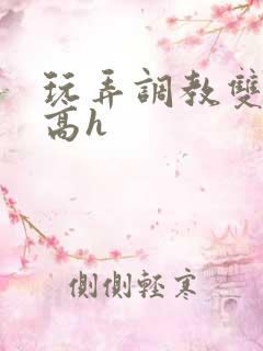 玩弄调教双胞胎高h