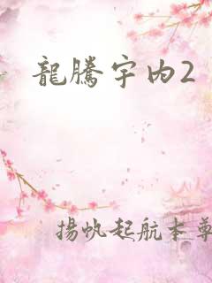 龙腾宇内2
