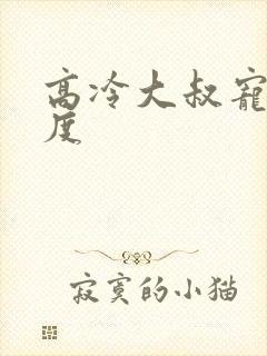 高冷大叔宠妻无度