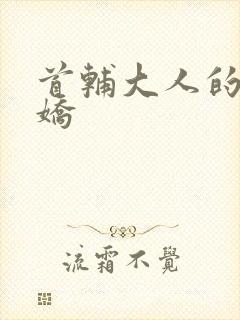 首辅大人的掌心娇