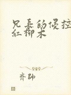 兄长的侵控by红柳木