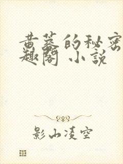 黄蓉的秘密 笔趣阁 小说