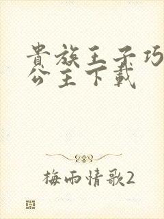 贵族王子巧遇穷公主下载