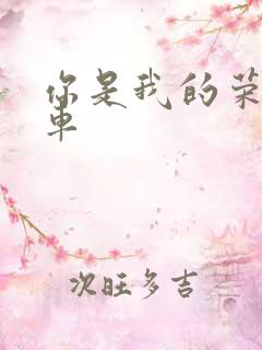 你是我的荣耀肉车