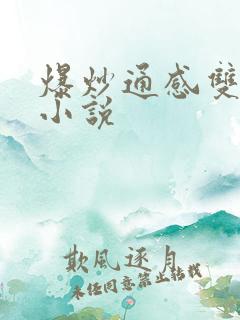 爆炒通感双胞胎小说