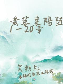 黄蓉襄阳堕落史1一20章