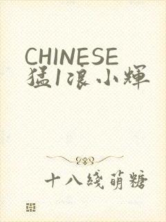 CHINESE猛1浪小辉