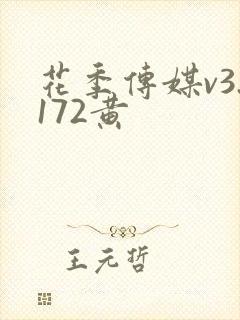 花季传媒v3.172黄